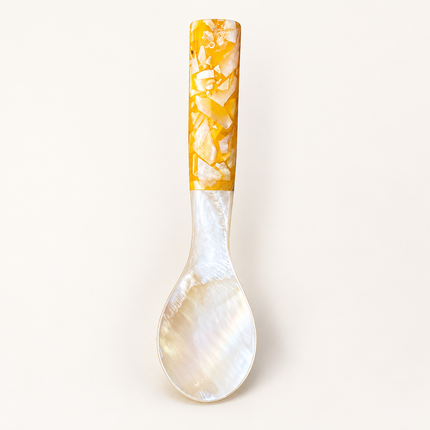 Mother of Pearl Spoon with Mosaic Handle 10 cm
