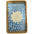 Tray38-16