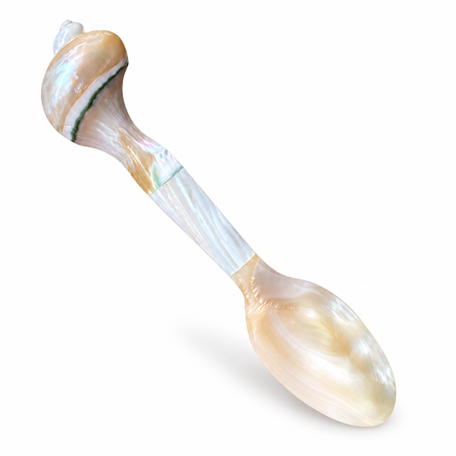 Mother of Pearl Spoon with Seashell Handle